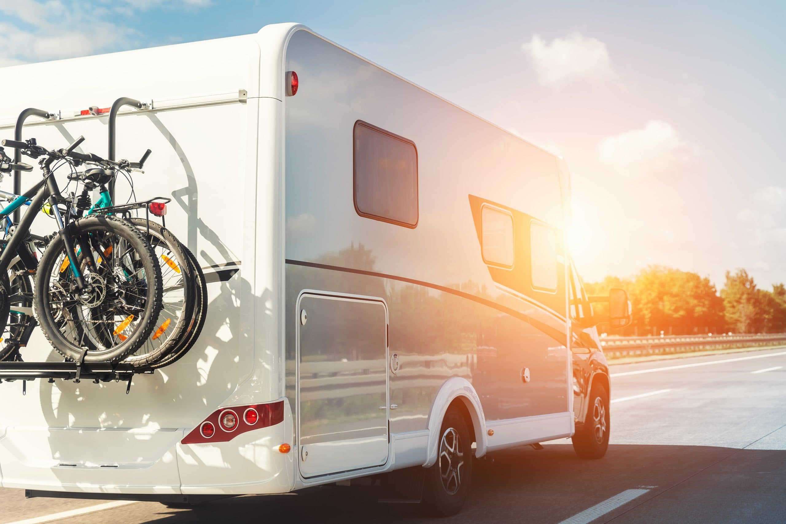motor insurance trends